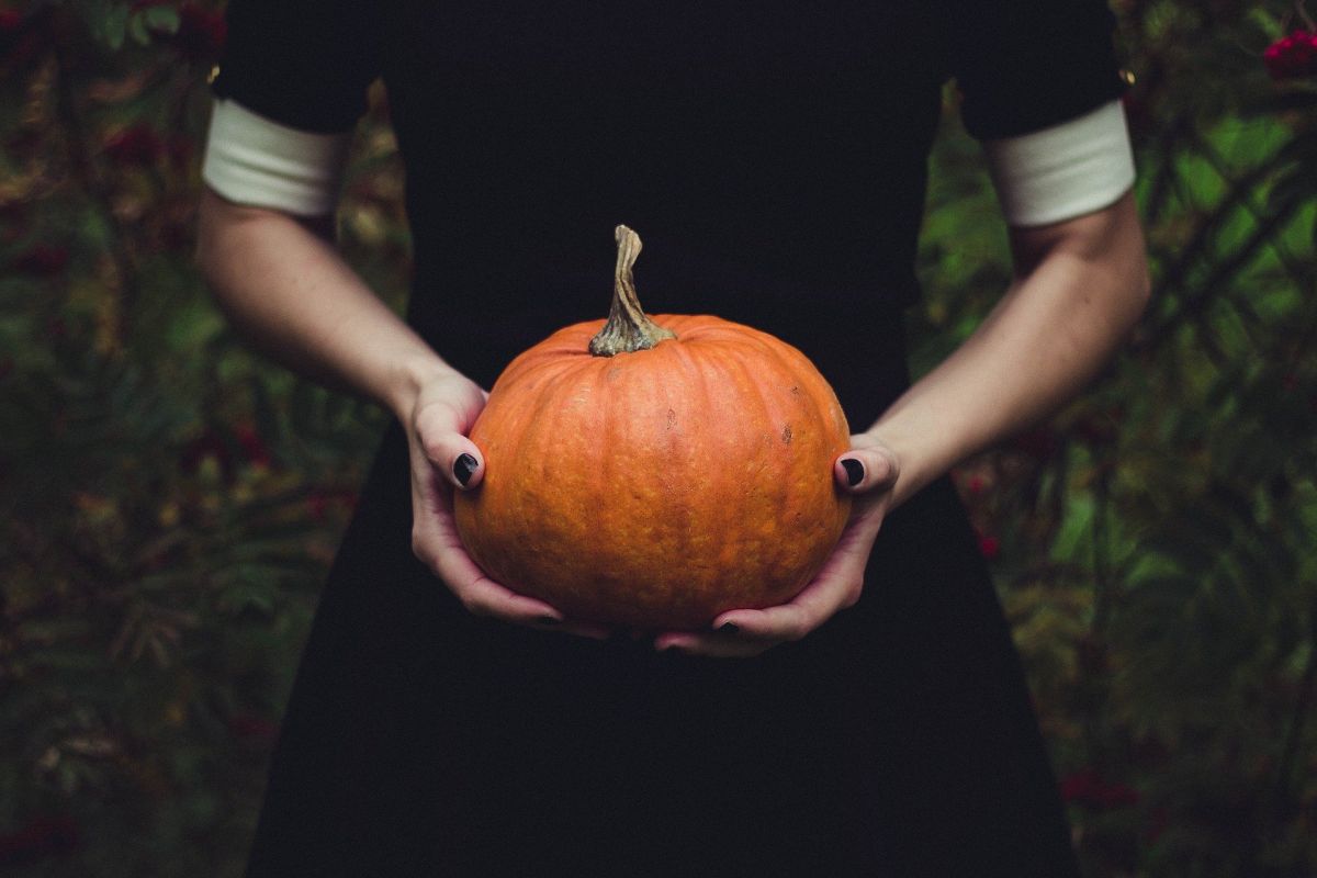 Eat pumpkin cooked, baked, as a soup or even raw? You should definitely not do that on Halloween!