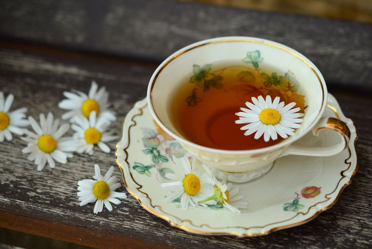 Chá - como ele é servido no mundo inteiro? Existem realmente chás para dores de cabeça, resfriados e até mesmo chá que estimula o trabalho?