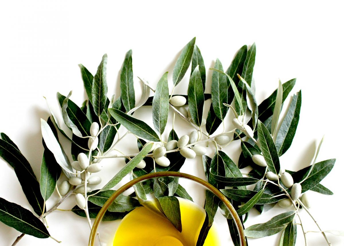 Das beste Olivenöl - zum kochen und braten: die Unterschiede!