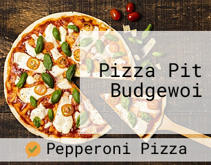 Pizza Pit Budgewoi opening plan